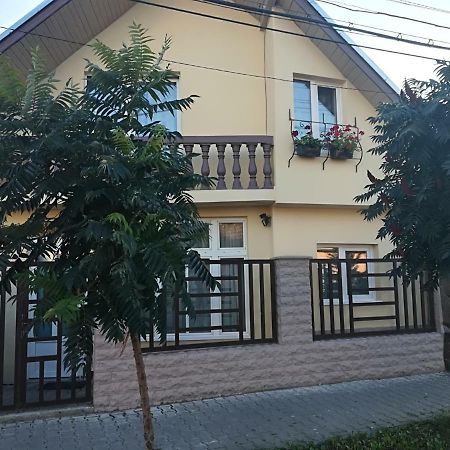 Five Villa Ludus Luaran gambar